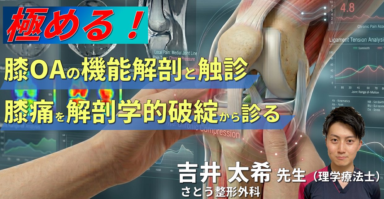 膝OAの疼痛部位から病態を読み解く機能解剖と触診の極意（吉井太希先生・9月12日開催）