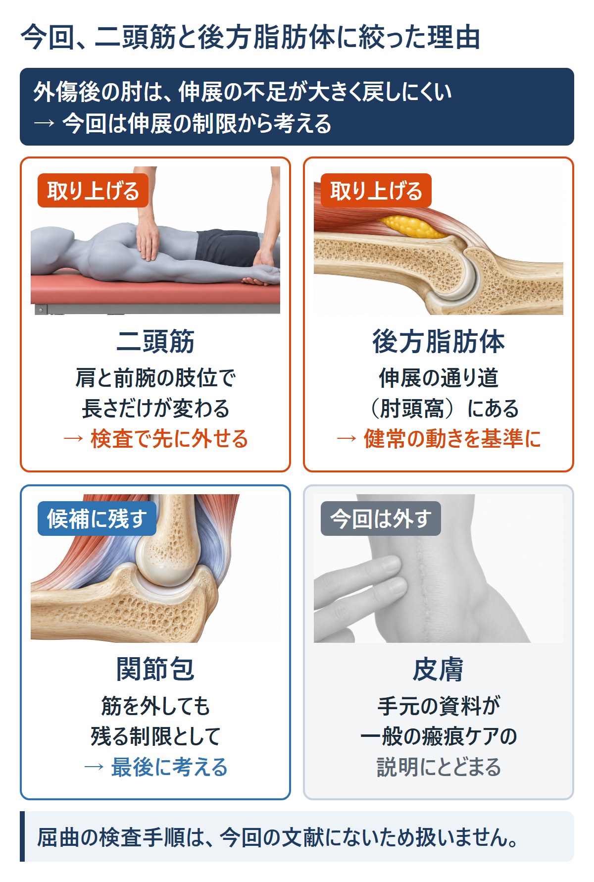 4つの組織の扱い。二頭筋と後方脂肪体は取り上げる、関節包は候補に残す、皮膚は今回は外す。上の帯に、外傷後の肘は伸展の不足が大きく戻しにくいため伸展の制限から考えると書かれている。