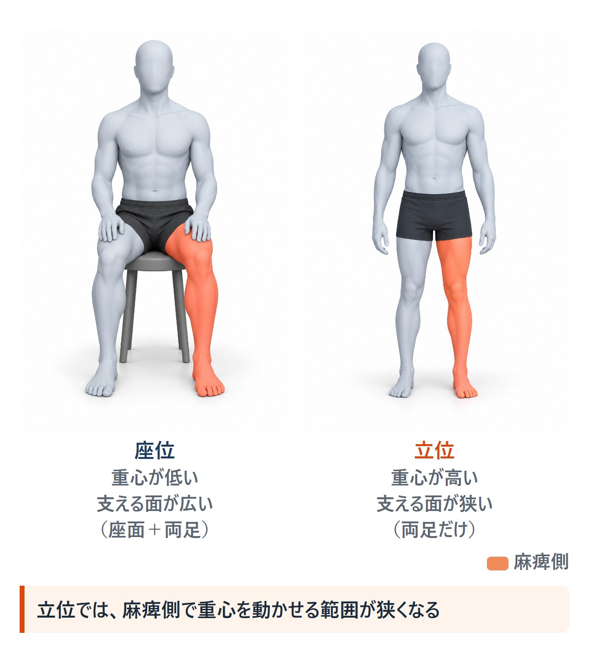 座位と立位の人の絵。座位は重心が低く支持基底面が広い。立位は重心が高く支持基底面が狭く、麻痺側で重心を動かせる範囲が狭くなる