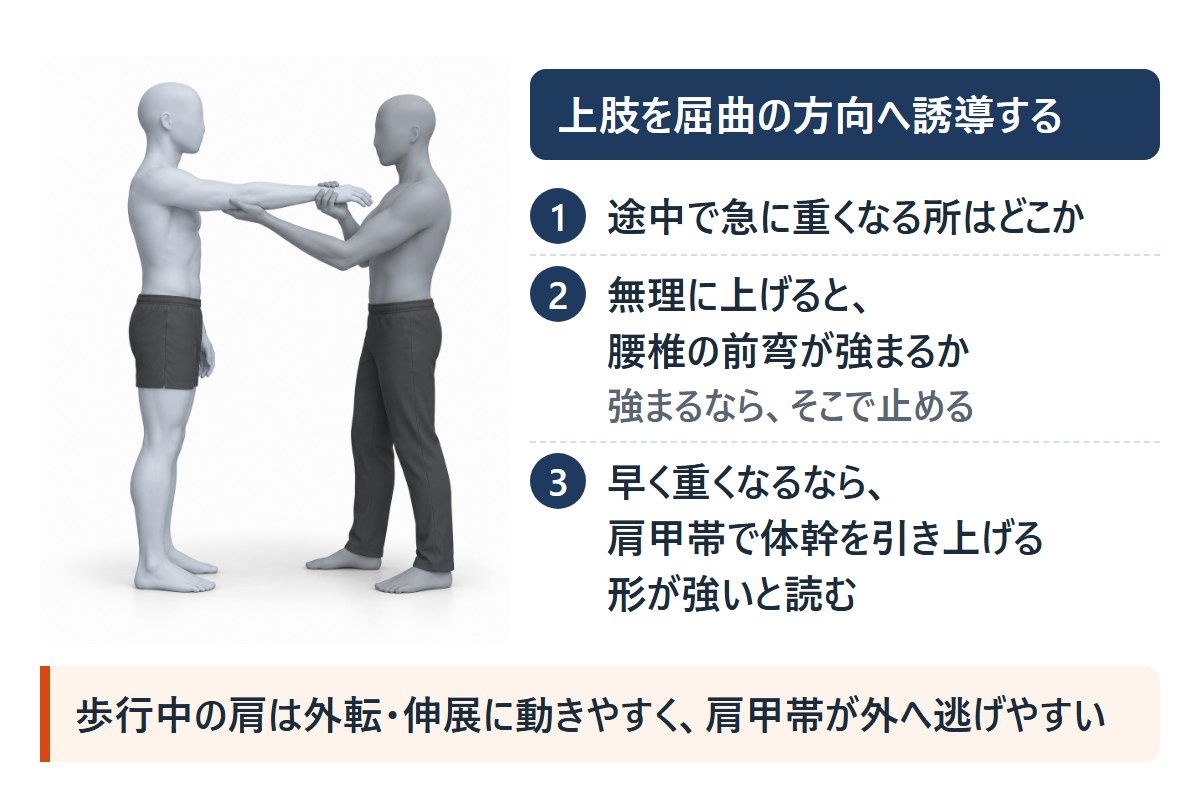 上肢を屈曲の方向へ誘導する二人の絵と、確かめる3点。急に重くなる所、腰椎の前弯、肩甲帯での引き上げ