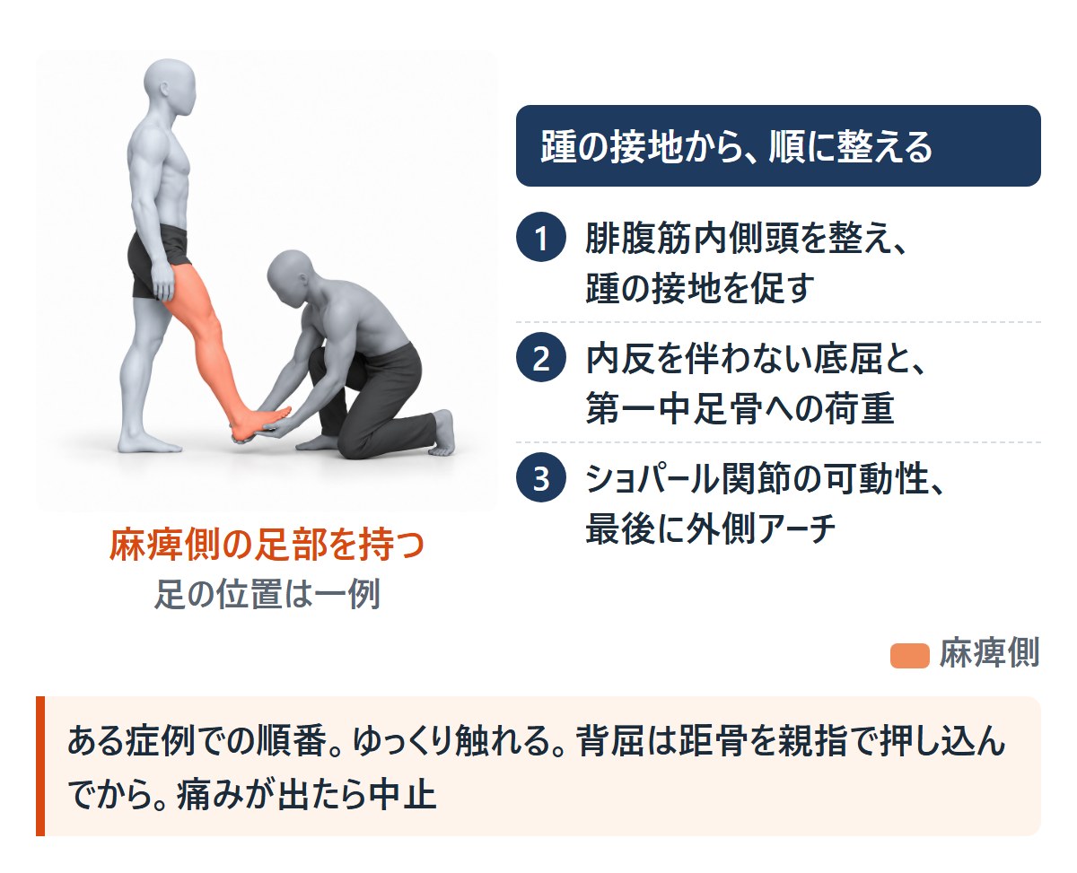 立っている人の麻痺側の足部をセラピストが持つ絵と、整える順番3つ。踵の接地、内反を伴わない底屈と第一中足骨への荷重、ショパール関節の可動性と外側アーチ