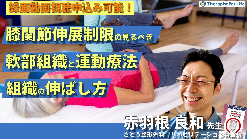 動員療法ではどのような種類の損傷が治療されますか?