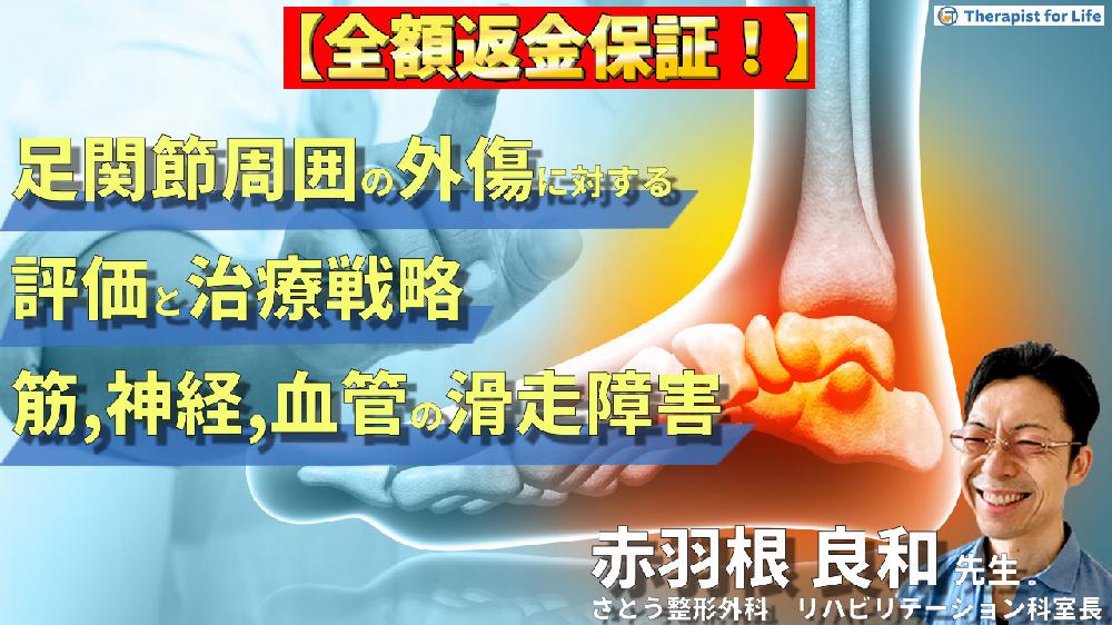 見逃し配信【WEB座学セミナー】足関節周囲の外傷に対する評価と治療戦略～筋・神経・血管の滑走障害を中心に〜