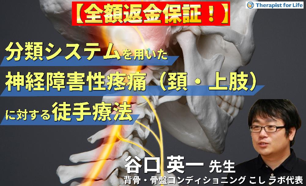 【療法士、治療家向け】FRA 基礎セミナー DVD5枚セット 療法士向け】FRA 基礎セミナー DVD5枚セット 療法士、治療家向け