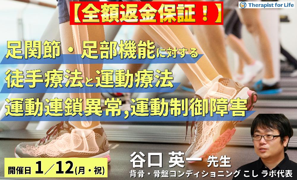 足関節・足部機能障害に対する徒手療法と運動療法～運動連鎖異常や運動制御障害が痛み・動作に及ぼす影響～
