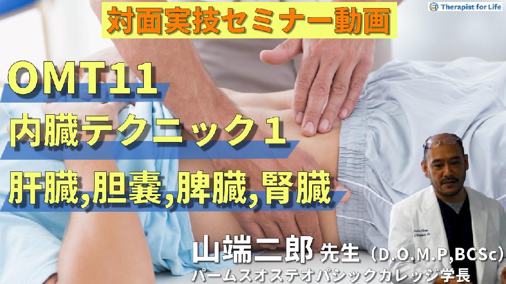 【対面実技セミナー動画配信】OMT11：内臓テクニック１（肝臓、胆嚢、胆管、膵臓、脾臓）