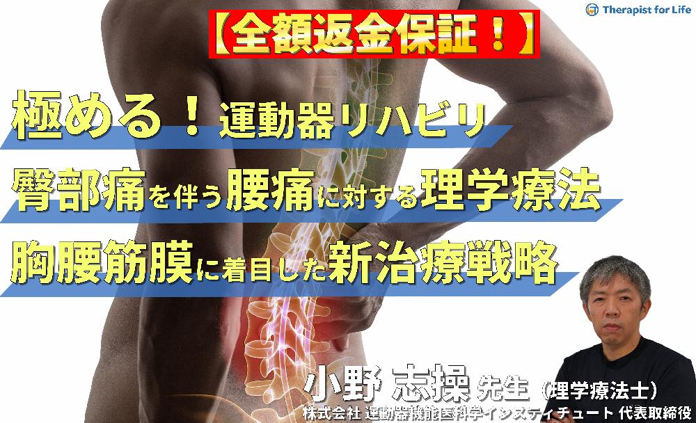 小野志操 腰痛の評価と治療 理学療法 DVD 【公式通販】