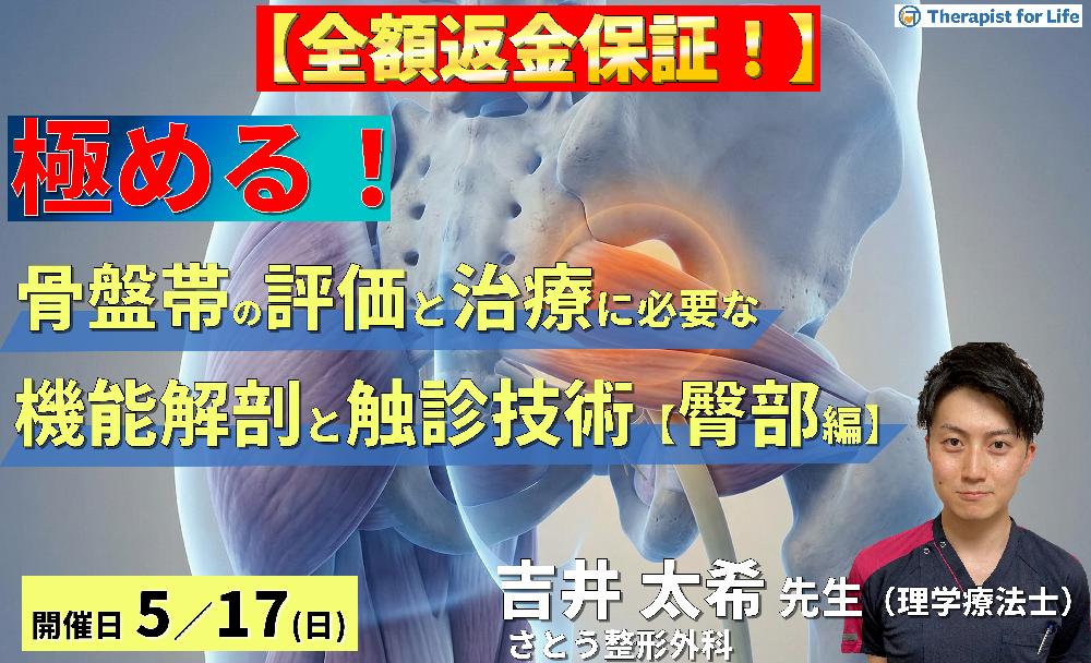 骨盤帯の評価・運動療法を極めるための機能解剖と触診技術【臀部編】〜Deep Gluteal Syndromeの病態解釈と深層筋・皮神経の触診～