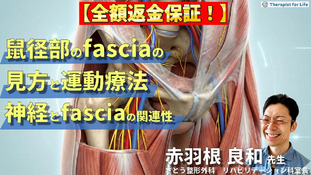 ※3/25完全非公開【見逃し配信】股関節周囲のfascia（鼠径部）の見方と運動療法～拘縮と疼痛の評価と治療を見極める！〜