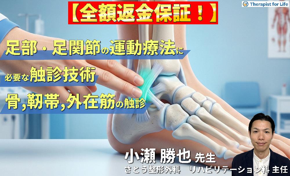 ※4/22非公開【見逃し配信】足部・足関節の評価・運動療法に必要な臨床的触診技術１【骨・靭帯・外在筋の触診】〜骨・筋軟部組織・神経の触診を臨床で活かすコツ～
