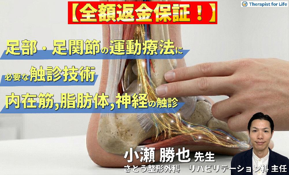 ※4/22非公開【見逃し配信】足部・足関節の評価・運動療法に必要な臨床的触診技術２【内在筋・脂肪体・神経の触診】〜骨・筋軟部組織・神経の触診を臨床で活かすコツ～