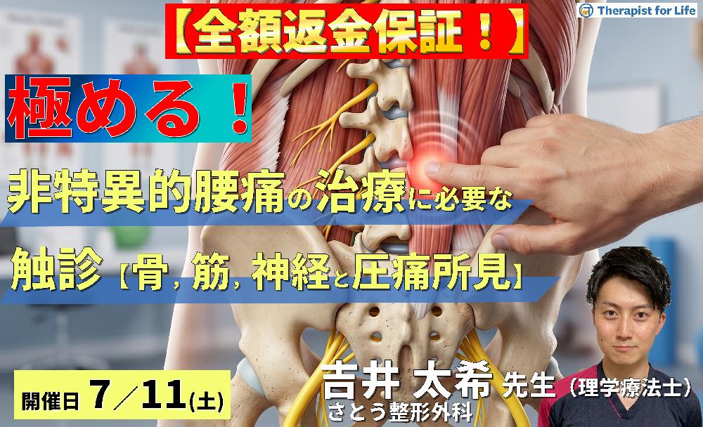 【早割中！】非特異的腰痛の評価・運動療法を極めるための機能解剖と触診技術〜病態鑑別に必要な骨・筋・神経の触診と圧痛評価のポイント〜