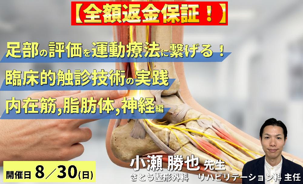【早割中！】足部の評価を運動療法に繋げる！臨床的触診技術の実践【内在筋・脂肪体・神経編】～機能解剖を「治せる技術」へ進化させる～