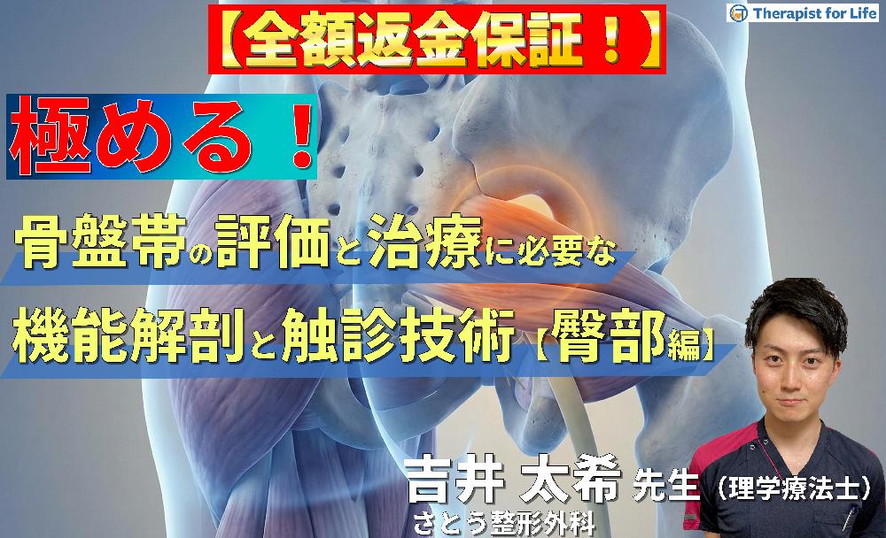 【※見逃し配信】骨盤帯の評価・運動療法を極めるための機能解剖と触診技術【臀部編】〜Deep Gluteal Syndromeの病態解釈と深層筋・皮神経の触診～