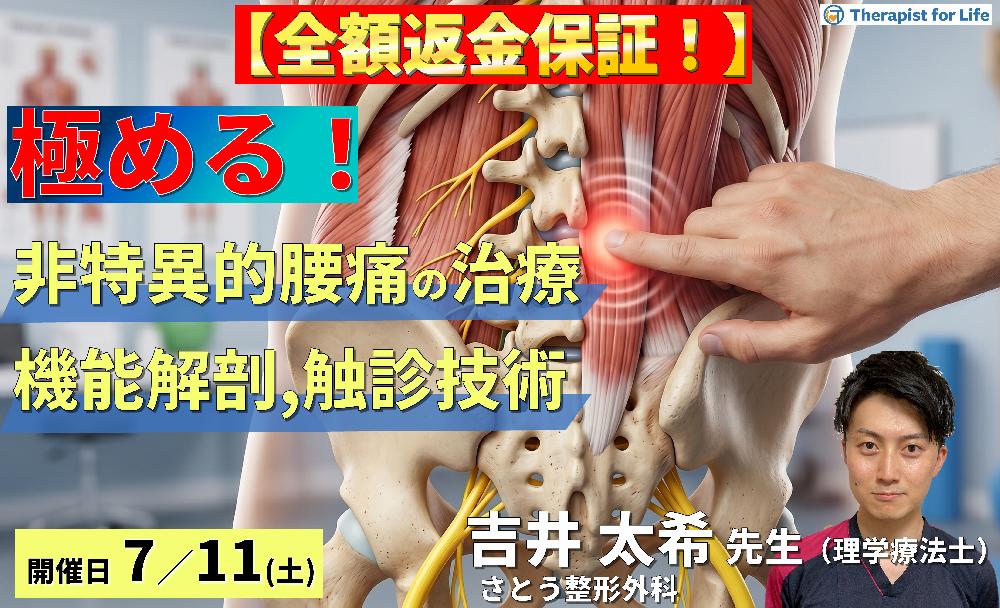 【早割中！】非特異的腰痛の評価・運動療法を極めるための機能解剖と触診技術〜腰部・骨盤帯の機能解剖と触診を徹底的に磨く〜