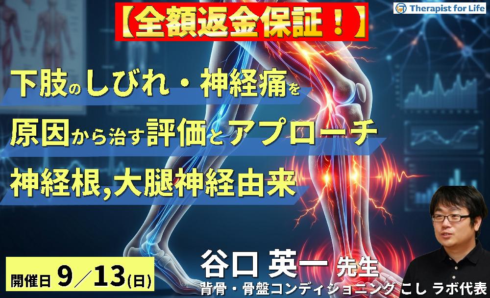 下肢のしびれ・神経痛を