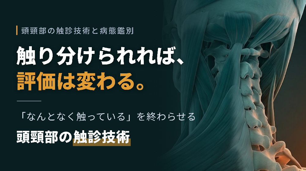 【※7/1非公開】見逃し配信【病態鑑別の極意！】頭頚部の評価・運動療法に必要な機能解剖学的触診技術～骨・筋・神経の触診と圧痛所見～
