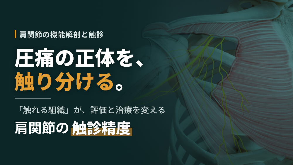 ※7/1非公開【見逃し配信】肩のリハビリを極めるために必要な触診と運動療法〜機能解剖から学ぶ骨・軟部組織・神経の正確な触り分け〜