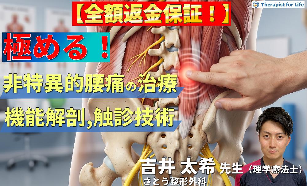 【※見逃し配信】非特異的腰痛の評価・運動療法を極めるための機能解剖と触診技術〜腰部・骨盤帯の機能解剖と触診を徹底的に磨く〜