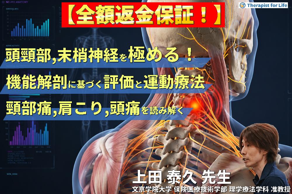 【※見逃し配信】頭頸部・末梢神経のリハビリを極める！機能解剖に基づく評価と運動療法〜頸部痛・肩こり・頭痛の原因を読み解く〜