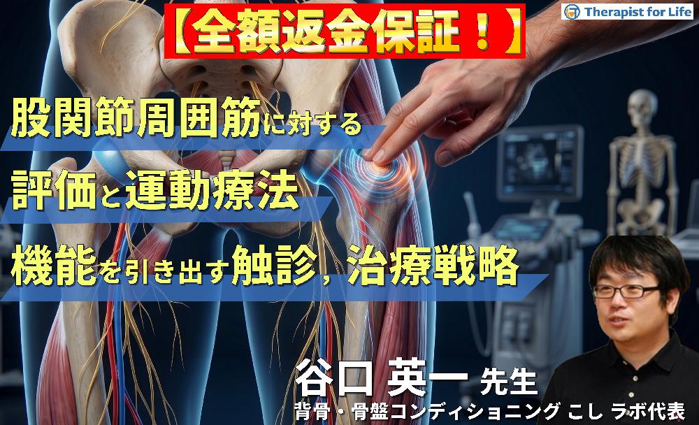 【※見逃し配信】股関節周囲筋に対する評価と運動療法〜股関節機能を引き出すための触診・評価・治療戦略〜