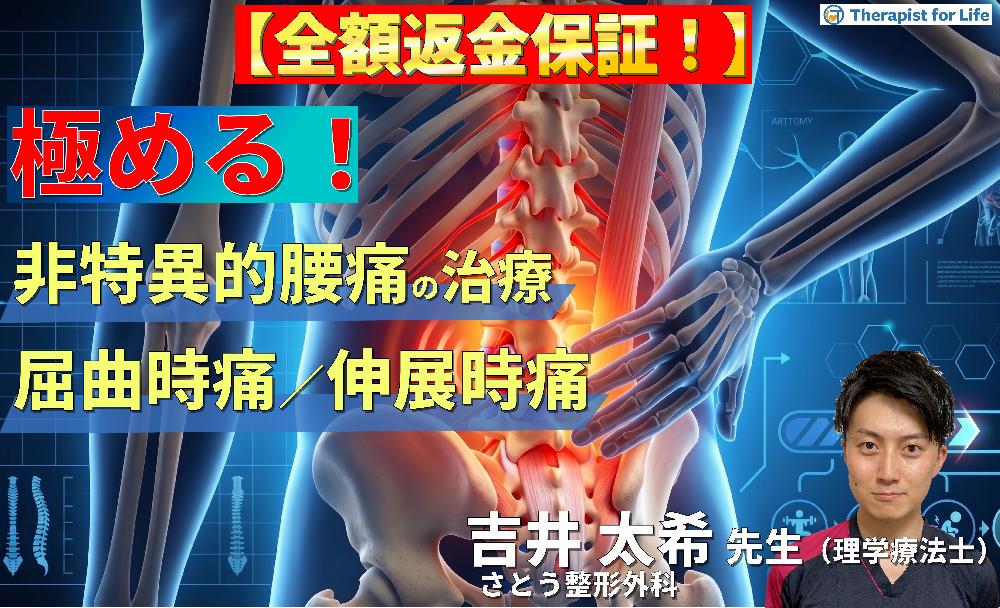 【見逃し配信】非特異的腰痛の評価・運動療法を極めるための機能解剖と触診技術〜屈曲時痛・伸展時痛の評価と運動療法を体系化する〜