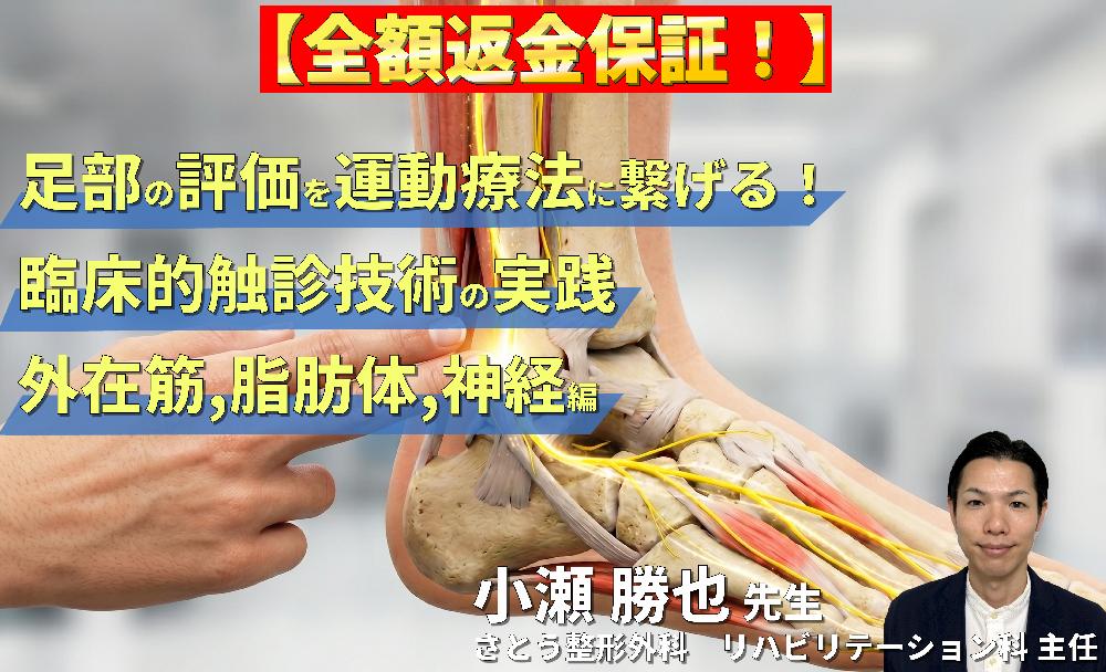 【※見逃し配信】足部の評価を運動療法に繋げる！臨床的触診技術の実践【外在筋・脂肪体・神経編】〜軟部組織・神経の滑走性改善を中心に～
