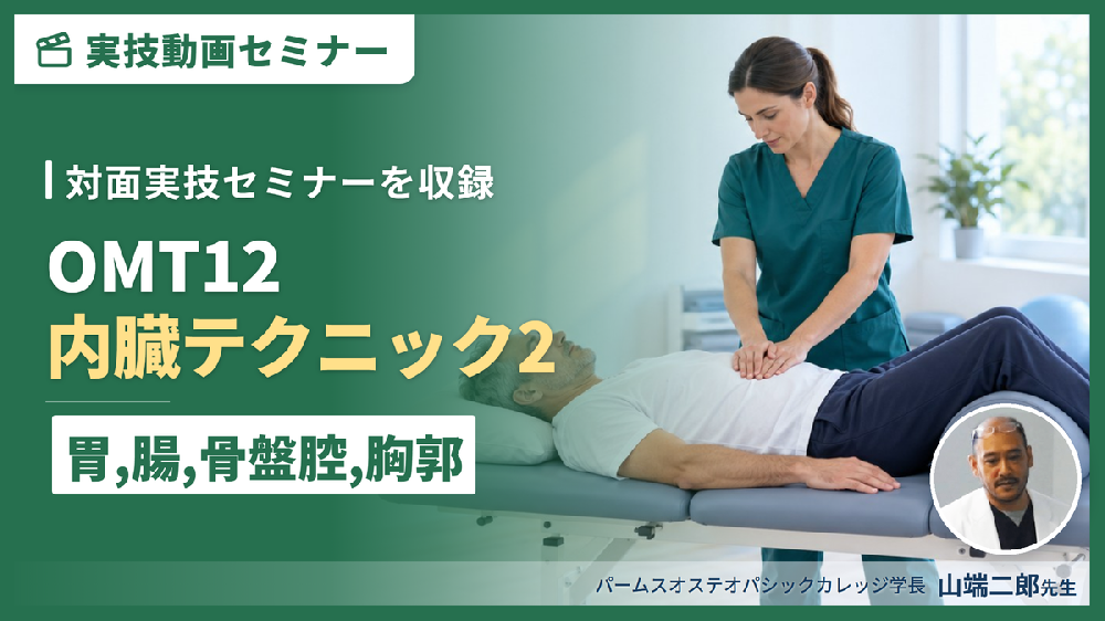 【対面実技セミナー動画配信】OMT12：内臓テクニック２（胃、腸、骨盤腔、胸郭 etc.）