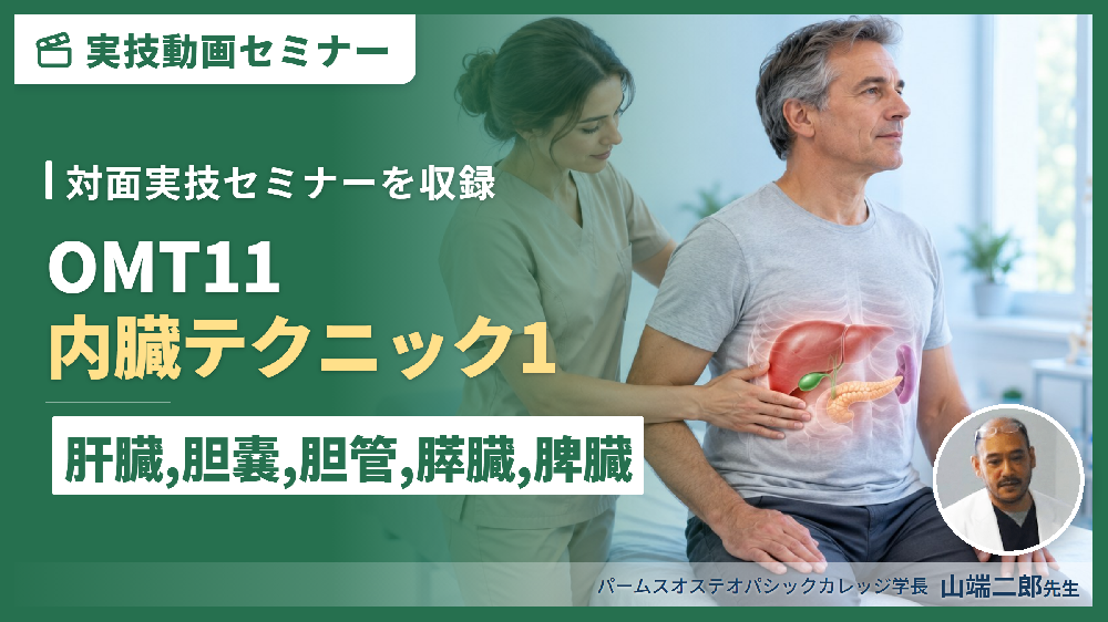 【対面実技セミナー動画配信】OMT11：内臓テクニック１（肝臓、胆嚢、胆管、膵臓、脾臓）